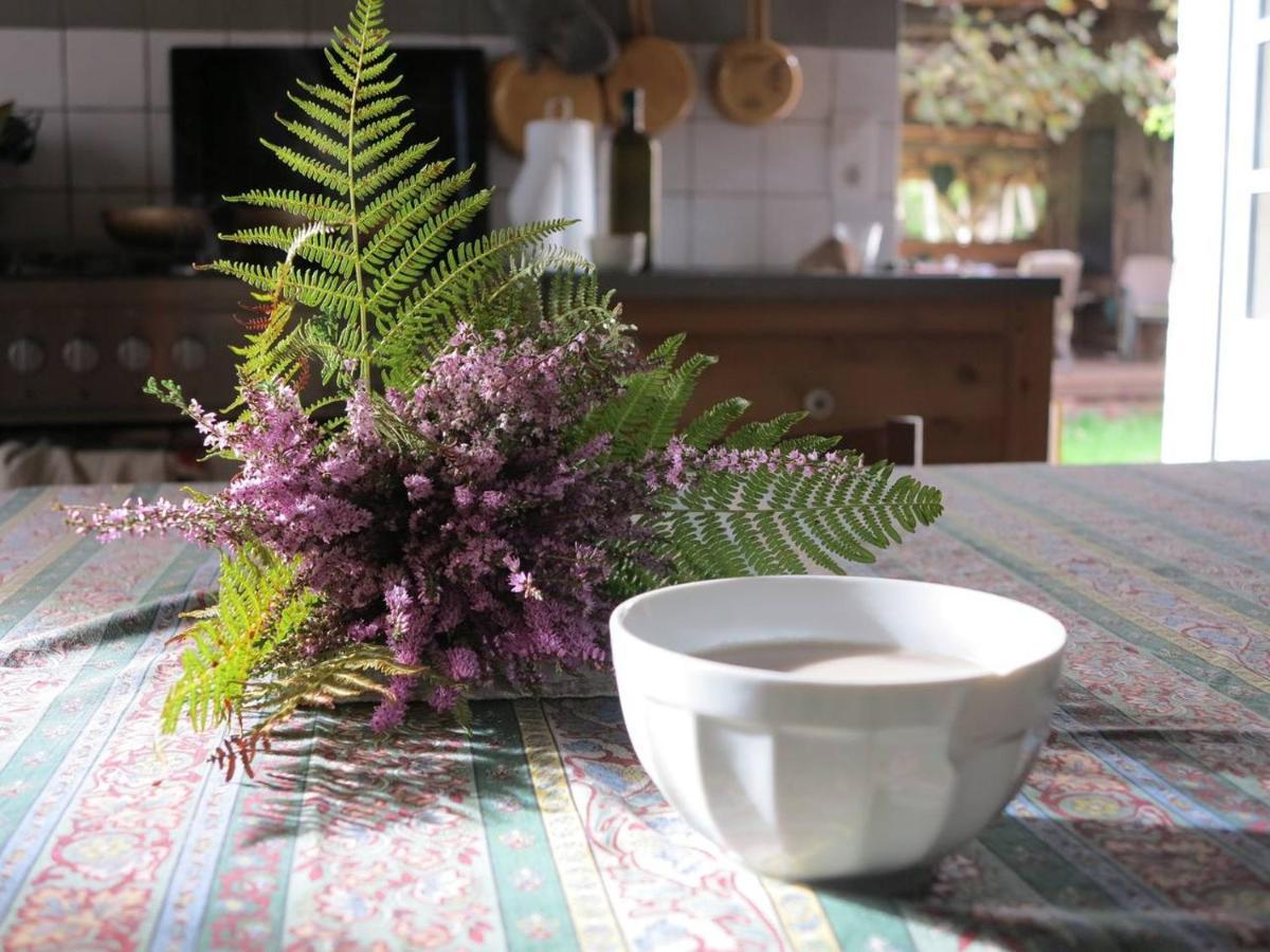 Les Jardins D'Atyoula Losse Kültér fotó